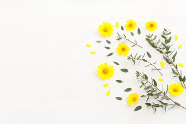 Sarı kasımpatı tarlası çiçeklerinin ahşap beyaz arka plandaki üst görüntüsü. Düz yatıyordu