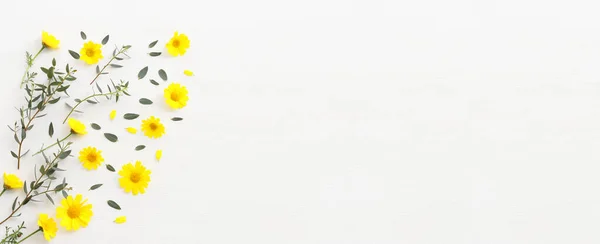 Sarı Kasımpatı Tarlası Çiçeklerinin Ahşap Beyaz Arka Plandaki Üst Görüntüsü — Stok fotoğraf