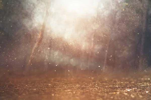 Blurred Abstract Photo Light Burst Trees Glitter Bokeh Lights — Stock Photo, Image