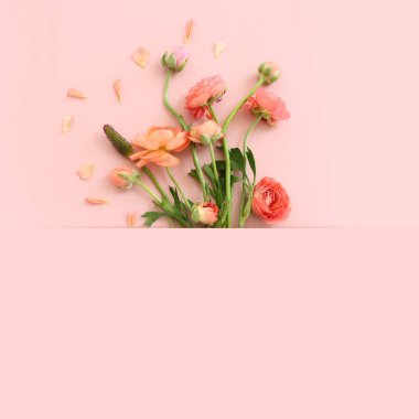 Pastel arkaplan üzerinde pembe çiçeklerin üst görünümü