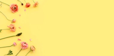 Sarı pastel arkaplan üzerindeki pembe çiçeklerin üst görünümü