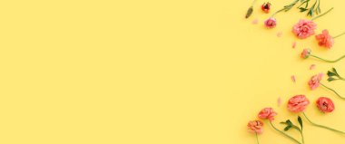 Sarı pastel arkaplan üzerindeki pembe çiçeklerin üst görünümü