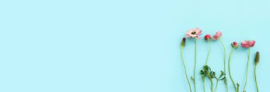 Mavi pastel arka planda pembe düğün çiçeği kompozisyonu