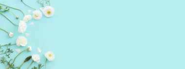 Mavi pastel arkaplan üzerindeki beyaz çiçeklerin üst görünümü