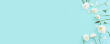 Mavi pastel arkaplan üzerindeki beyaz çiçeklerin üst görünümü