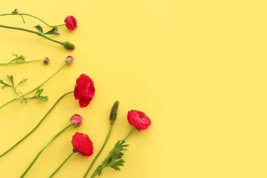 Sarı pastel arka planda pembe düğün çiçeği kompozisyonu