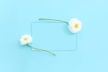 Beyaz çiçeklerin üst görünümü bileşimi ve mavi pastel arkaplan üzerine boş nota