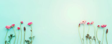 Mavi pastel arkaplan üzerindeki pembe çiçeklerin üst görünümü