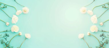 Mavi pastel arkaplan üzerindeki beyaz çiçeklerin üst görünümü