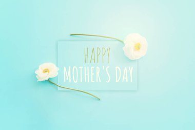 Mavi pastel arka planda beyaz çiçeklerle anneler günü konsepti