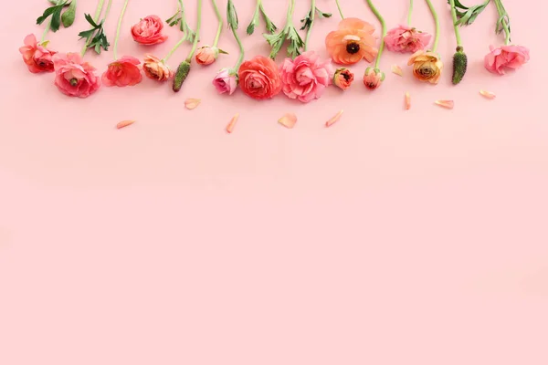 Вид Зверху Зображення Композиції Рожевих Квітів Баклажанів Пастельному Фоні — стокове фото