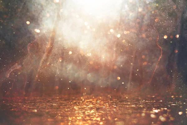 木々やキラキラしたボケの間の光バーストの抽象写真 — ストック写真