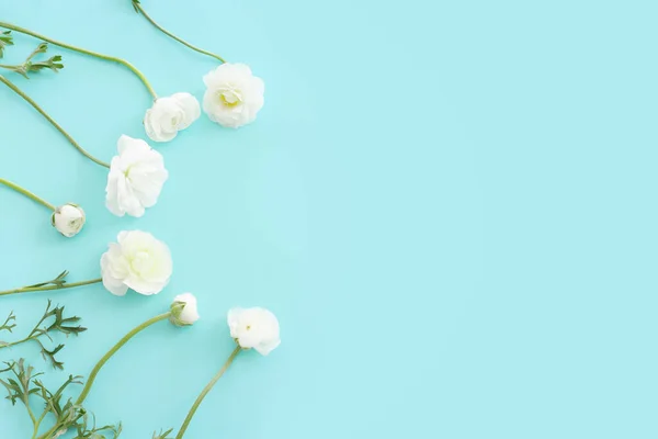 Top View Image White Flowers Composition Blue Pastel Background — Stock Photo, Image