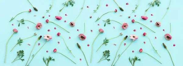 Ovanifrån Bild Rosa Smörblomma Blommor Sammansättning Över Blå Pastell Bakgrund — Stockfoto