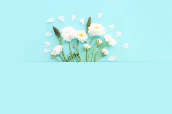 Top View Image White Flowers Composition Blue Pastel Background — Stock Photo, Image