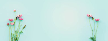 Mavi arkaplanda pembe çiçeklerin üst görünümü