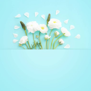 Mavi pastel arkaplan üzerindeki beyaz çiçeklerin üst görünümü