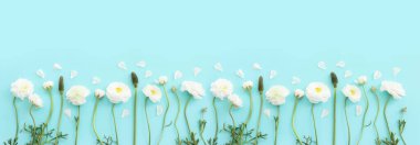 Mavi pastel arkaplan üzerindeki beyaz çiçeklerin üst görünümü