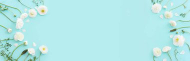 Mavi pastel arkaplan üzerindeki beyaz çiçeklerin üst görünümü