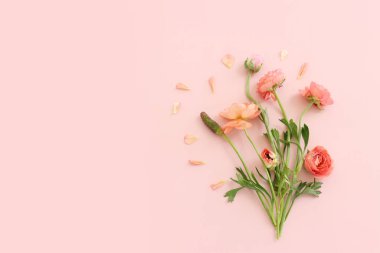 Pastel arkaplan üzerinde pembe çiçeklerin üst görünümü
