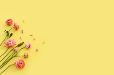Sarı arkaplan üzerindeki pembe çiçeklerin üst görünümü
