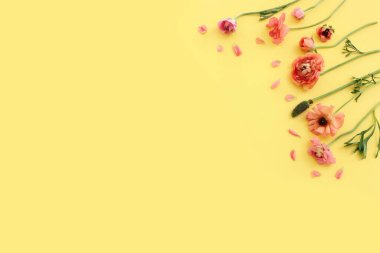 Sarı arkaplan üzerindeki pembe çiçeklerin üst görünümü