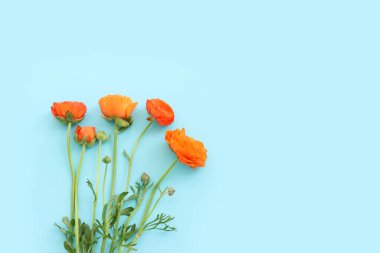 Mavi arkaplan üzerindeki sarı çiçeklerin üst görünümü