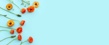 Mavi arkaplan üzerindeki sarı çiçeklerin üst görünümü