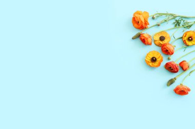 Mavi arkaplan üzerindeki sarı çiçeklerin üst görünümü