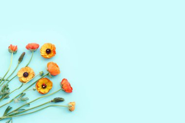 Mavi arkaplan üzerindeki sarı çiçeklerin üst görünümü