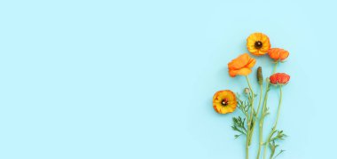 Mavi arkaplan üzerindeki sarı çiçeklerin üst görünümü