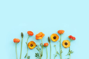 Mavi arkaplan üzerindeki sarı çiçeklerin üst görünümü