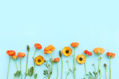 Mavi arkaplan üzerindeki sarı çiçeklerin üst görünümü