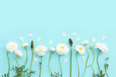 Mavi pastel arkaplan üzerindeki beyaz çiçeklerin üst görünümü