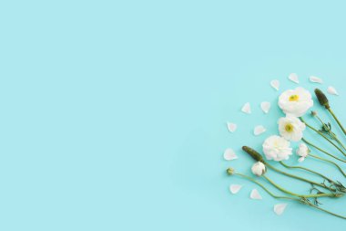 Mavi pastel arkaplan üzerindeki beyaz çiçeklerin üst görünümü