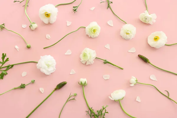 Top View Image White Flowers Composition Pink Pastel Background — Stock Photo, Image