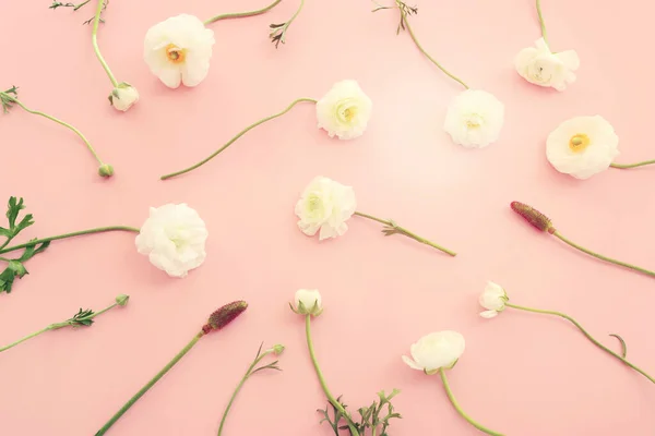 Top View Image White Flowers Composition Pink Pastel Background — Stock Photo, Image