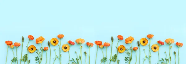 Top View Image Yellow Flowers Composition Blue Background — Foto Stock