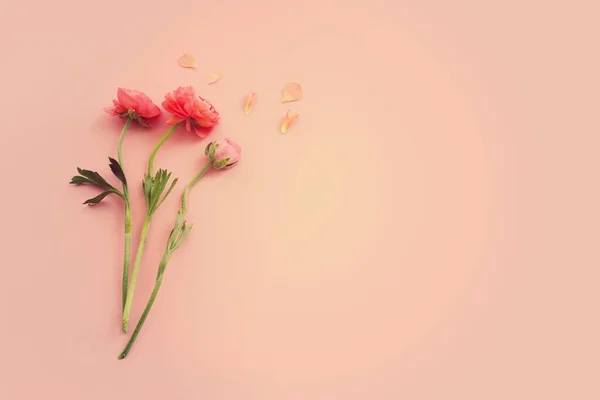 Top View Image Pink Flowers Composition Pastel Background — 스톡 사진