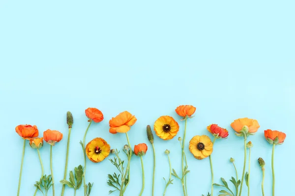Top View Image Yellow Flowers Composition Blue Background — Stockfoto