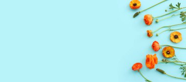 Mavi arkaplan üzerindeki sarı çiçeklerin üst görünümü