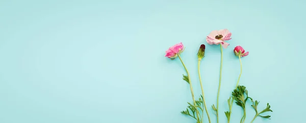 Top View Image Pink Flowers Composition Blue Background — Photo