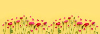 Sarı arkaplan üzerindeki pembe çiçeklerin üst görünümü