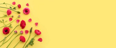 Sarı arkaplan üzerindeki pembe çiçeklerin üst görünümü