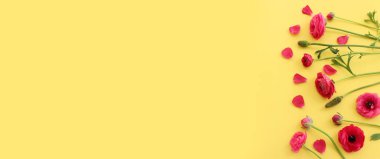 Sarı arkaplan üzerindeki pembe çiçeklerin üst görünümü