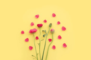 Sarı arkaplan üzerindeki pembe çiçeklerin üst görünümü