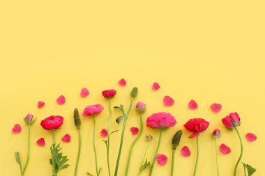 Sarı arkaplan üzerindeki pembe çiçeklerin üst görünümü