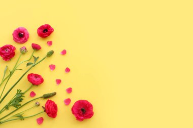 Sarı arkaplan üzerindeki pembe çiçeklerin üst görünümü