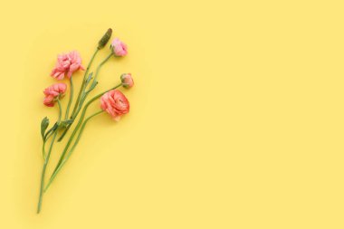 Sarı arkaplan üzerindeki pembe çiçeklerin üst görünümü