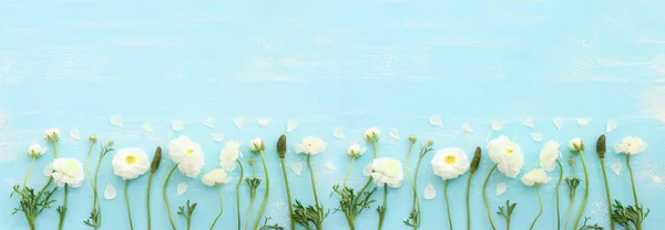 Ahşap Mavi Pastel Arkaplan Üzerine Beyaz Çiçeklerin Üst Görünüm Kompozisyonu — Stok fotoğraf